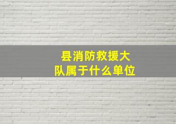 县消防救援大队属于什么单位