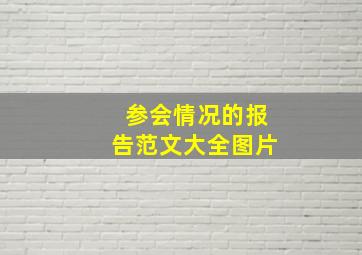 参会情况的报告范文大全图片