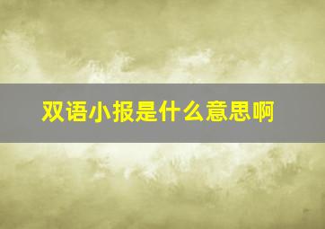 双语小报是什么意思啊