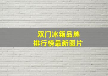 双门冰箱品牌排行榜最新图片