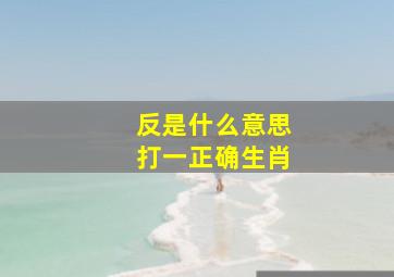 反是什么意思打一正确生肖