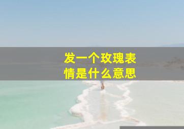 发一个玫瑰表情是什么意思