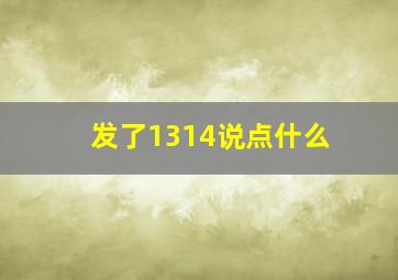 发了1314说点什么