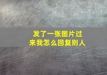 发了一张图片过来我怎么回复别人