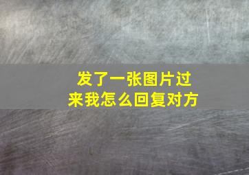 发了一张图片过来我怎么回复对方