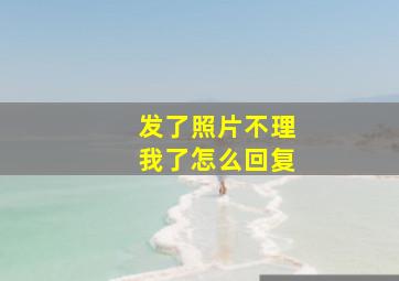 发了照片不理我了怎么回复