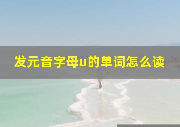 发元音字母u的单词怎么读