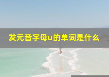 发元音字母u的单词是什么