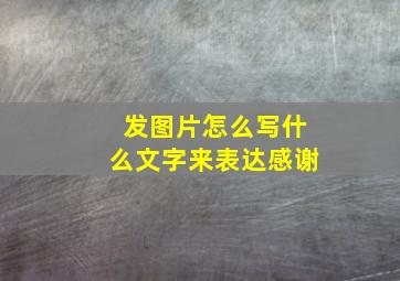 发图片怎么写什么文字来表达感谢