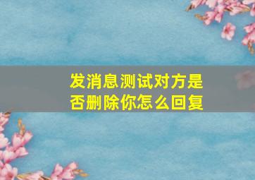 发消息测试对方是否删除你怎么回复