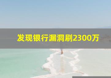 发现银行漏洞刷2300万