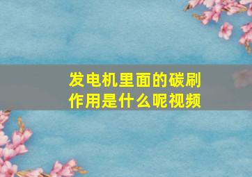 发电机里面的碳刷作用是什么呢视频