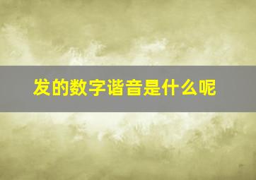 发的数字谐音是什么呢