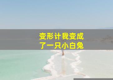 变形计我变成了一只小白兔