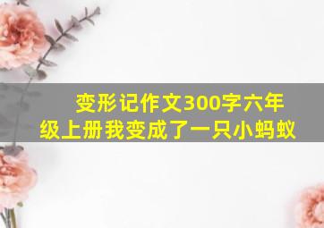 变形记作文300字六年级上册我变成了一只小蚂蚁