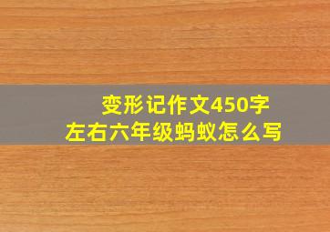 变形记作文450字左右六年级蚂蚁怎么写