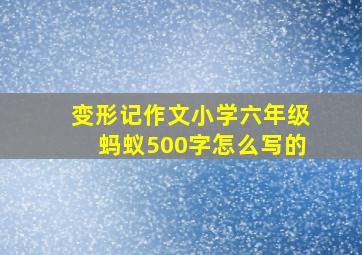 变形记作文小学六年级蚂蚁500字怎么写的