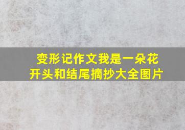 变形记作文我是一朵花开头和结尾摘抄大全图片