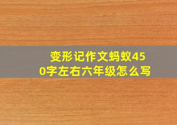 变形记作文蚂蚁450字左右六年级怎么写