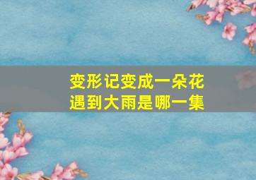 变形记变成一朵花遇到大雨是哪一集