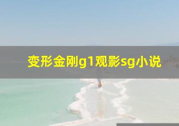 变形金刚g1观影sg小说