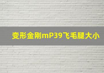 变形金刚mP39飞毛腿大小