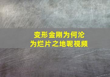 变形金刚为何沦为烂片之地呢视频