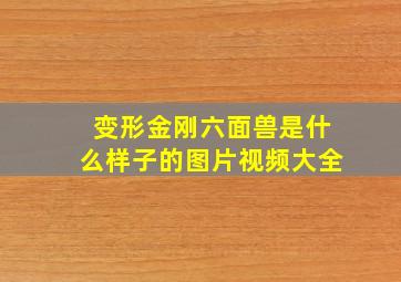 变形金刚六面兽是什么样子的图片视频大全