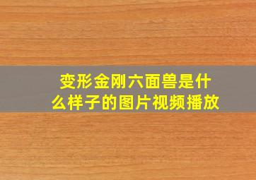 变形金刚六面兽是什么样子的图片视频播放