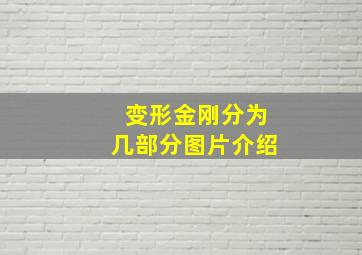 变形金刚分为几部分图片介绍