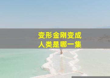 变形金刚变成人类是哪一集