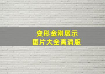 变形金刚展示图片大全高清版