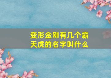 变形金刚有几个霸天虎的名字叫什么