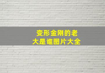 变形金刚的老大是谁图片大全