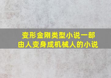 变形金刚类型小说一部由人变身成机械人的小说