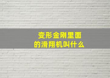 变形金刚里面的滑翔机叫什么