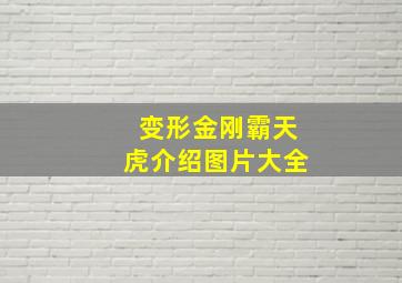 变形金刚霸天虎介绍图片大全