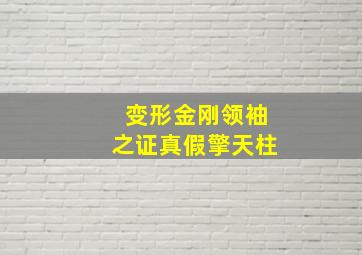 变形金刚领袖之证真假擎天柱