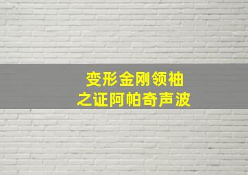 变形金刚领袖之证阿帕奇声波