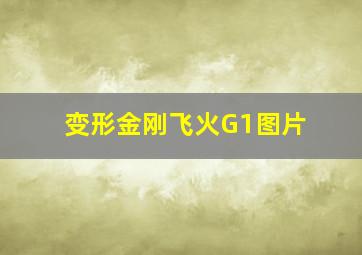 变形金刚飞火G1图片