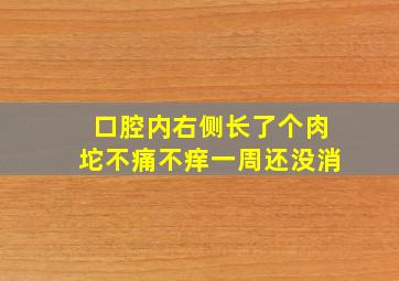 口腔内右侧长了个肉坨不痛不痒一周还没消