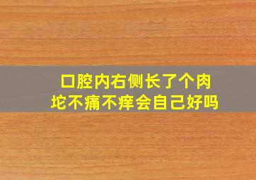 口腔内右侧长了个肉坨不痛不痒会自己好吗