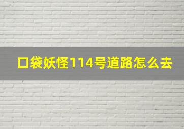 口袋妖怪114号道路怎么去