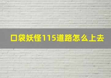 口袋妖怪115道路怎么上去