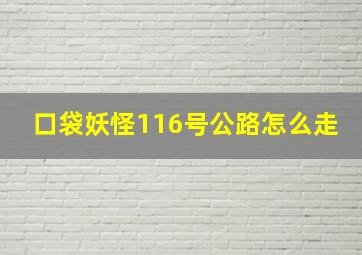 口袋妖怪116号公路怎么走