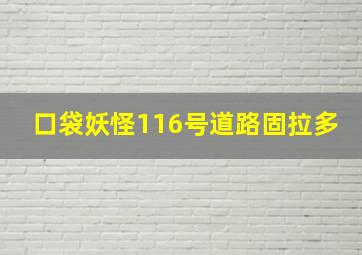 口袋妖怪116号道路固拉多