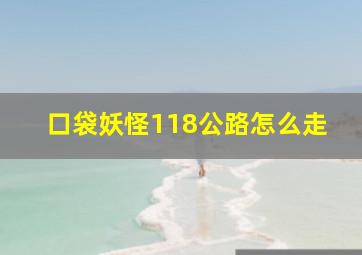 口袋妖怪118公路怎么走