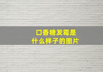 口香糖发霉是什么样子的图片