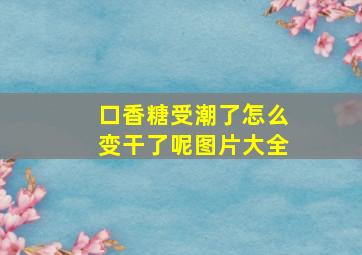 口香糖受潮了怎么变干了呢图片大全