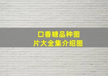 口香糖品种图片大全集介绍图